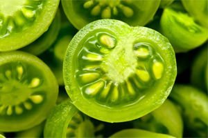 tratamendu barizeak green tomatoes